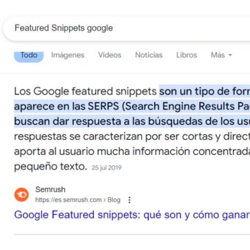 Todo sobre Freatures Snippets